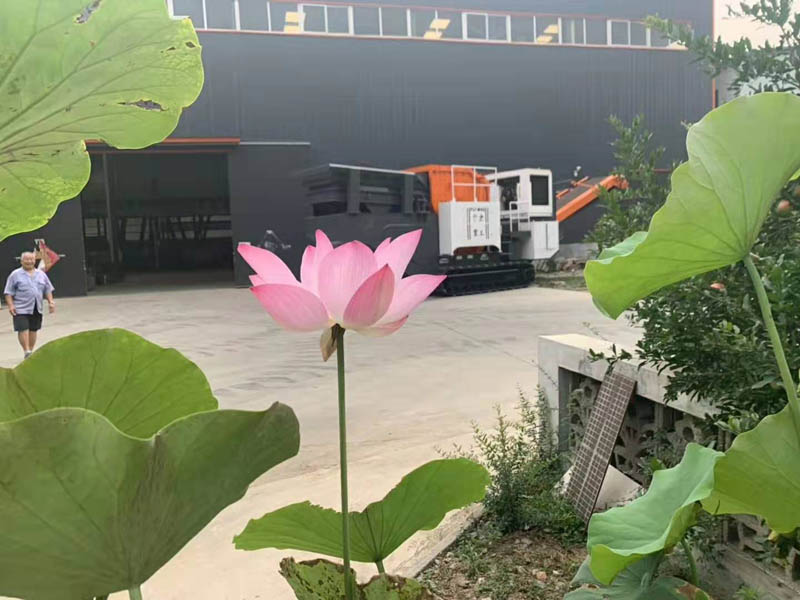 鹅卵石移动石子PROBURN中文免费版下载机